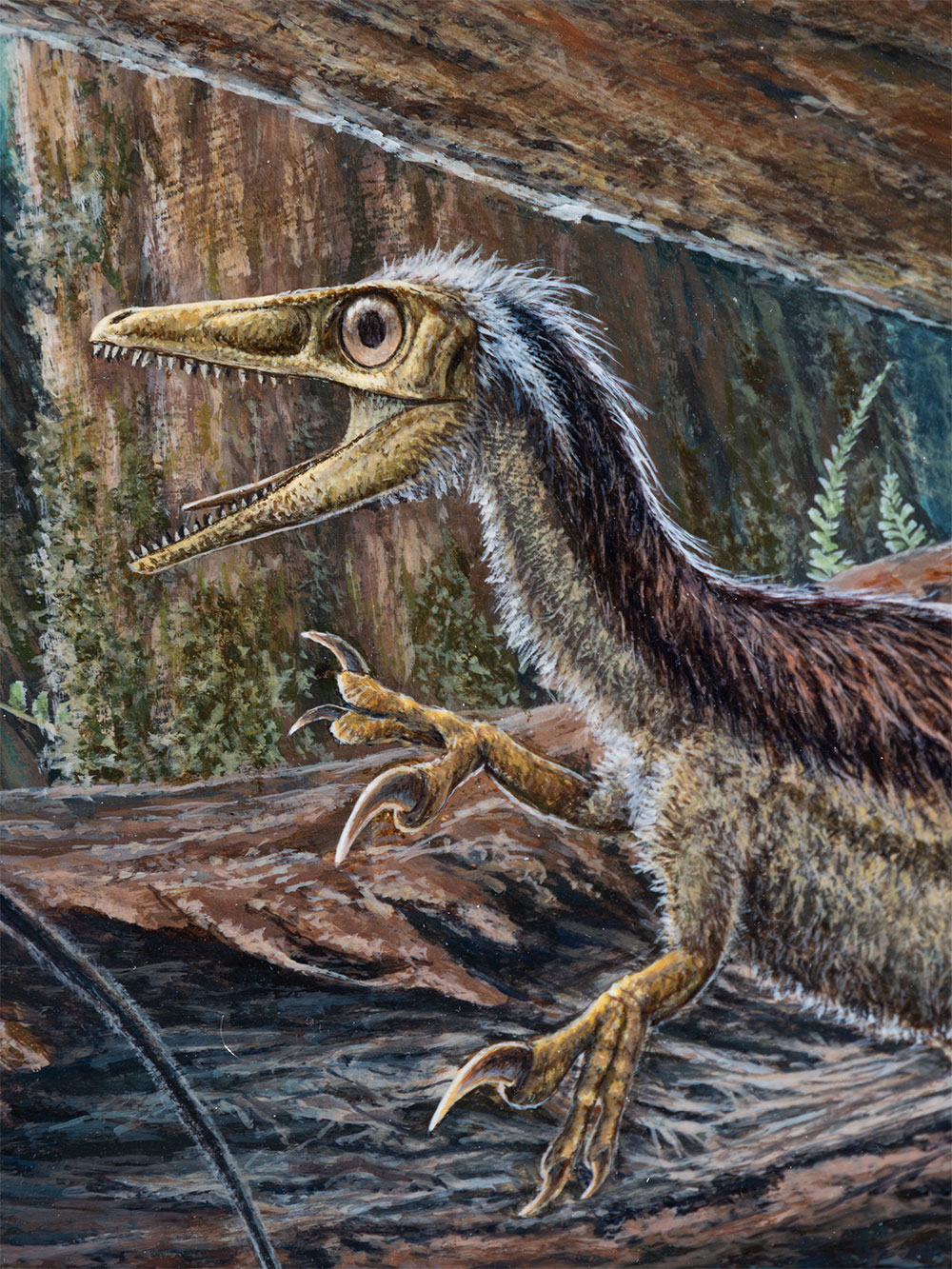 Sinosauropteryx painting, John Lanzendorf Collection